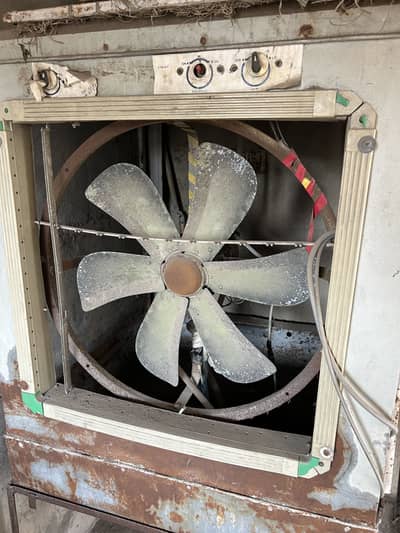 Full size cooler