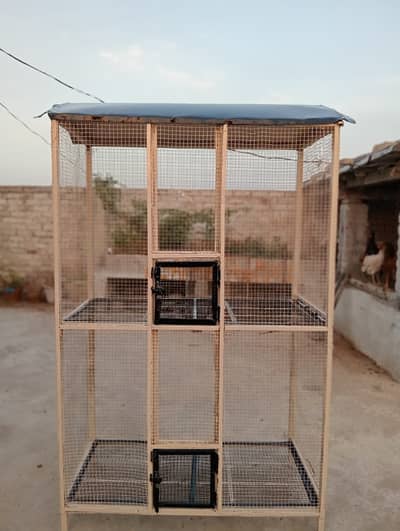 parrots cage