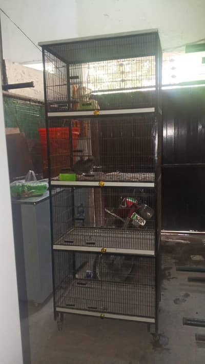 parrots animal rack for sale