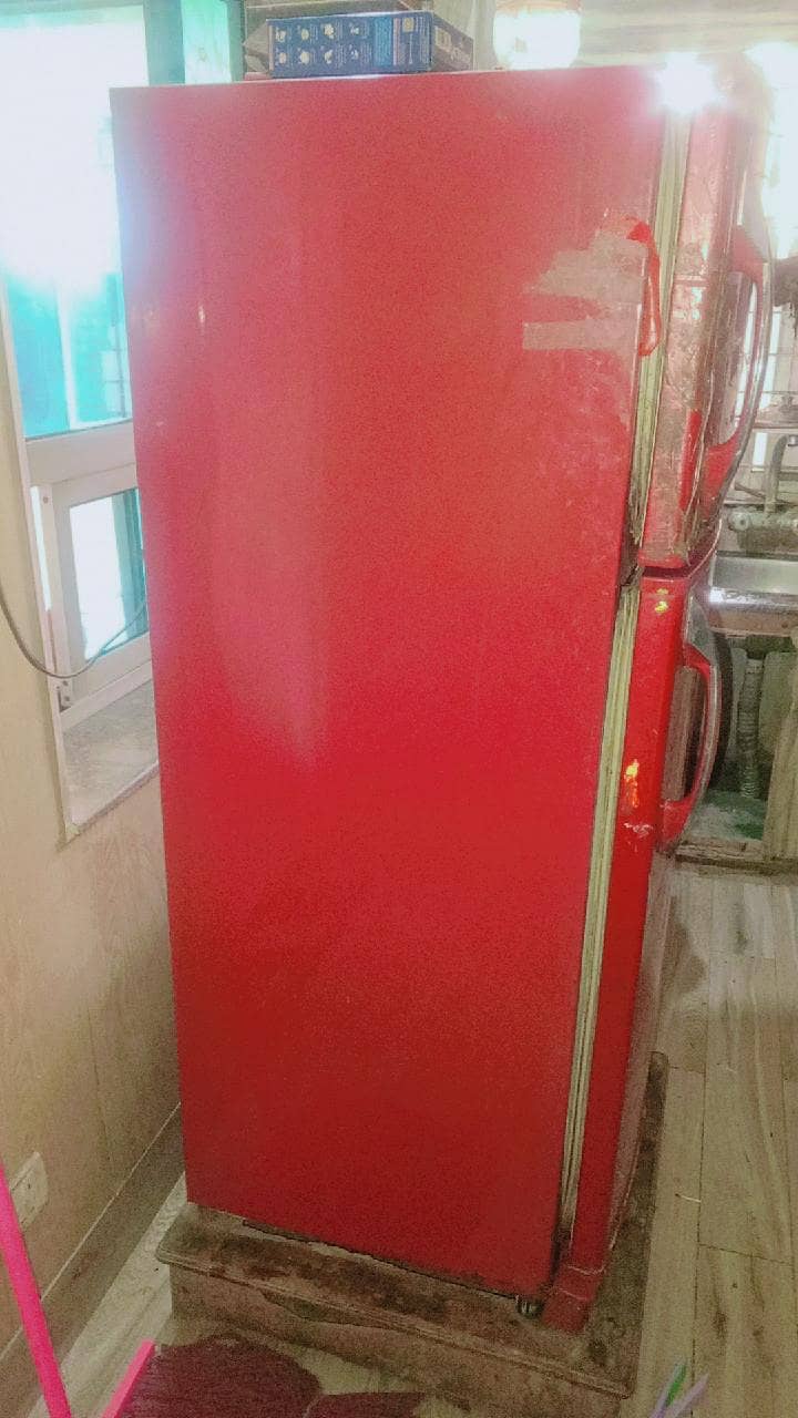 Fridge 1