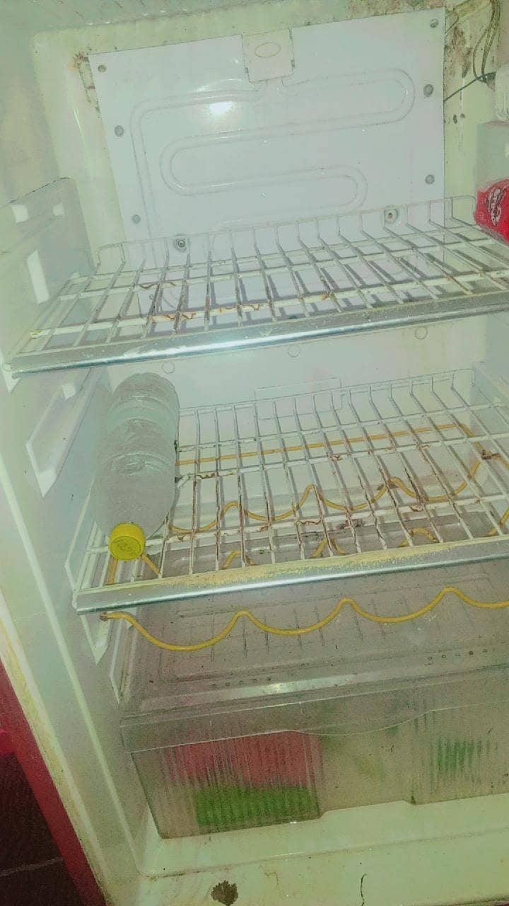 Fridge 2
