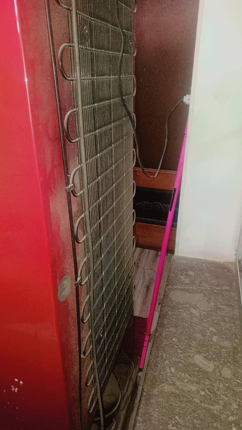 Fridge 5