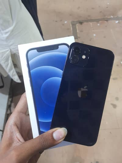 iPhone 12 With Box