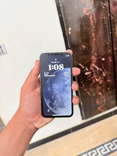 Apple iPhone X