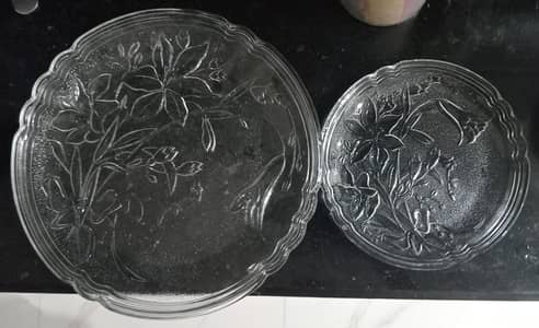 Premium Embossed Floral Glass Plates Set – Brand New Condition