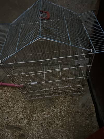 Parrot Cage just 1000