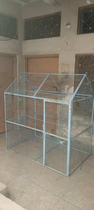Birds cage / pinjraa