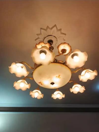 Home Decorative Items