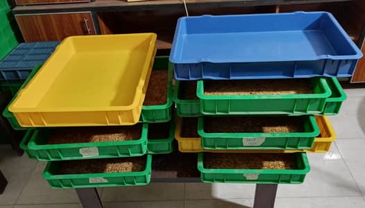 LIve Mealworm Setup in 7 Food Grade Trays + 43 Food Grade Trays