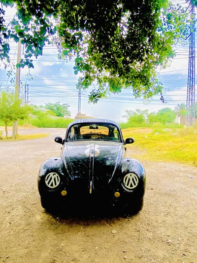 foxy beetle 1974