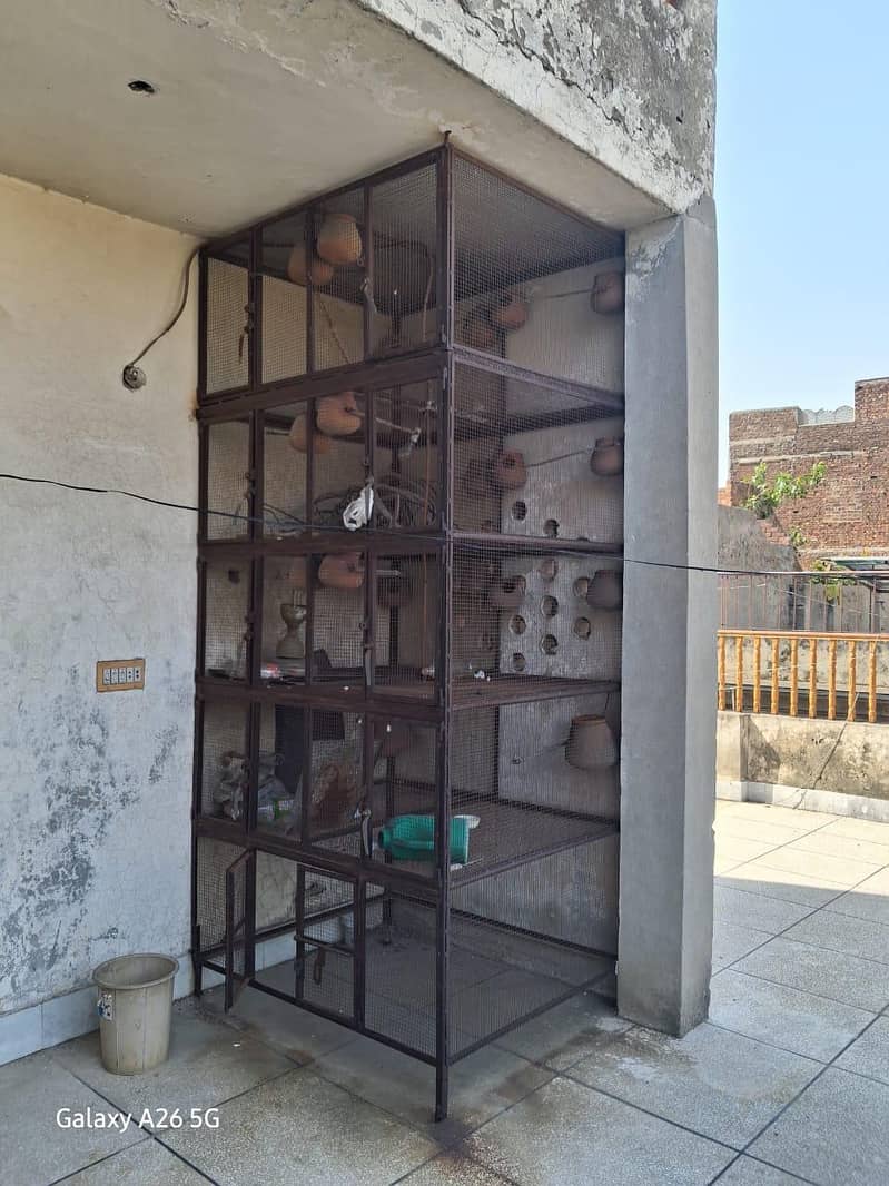 bids cage 1