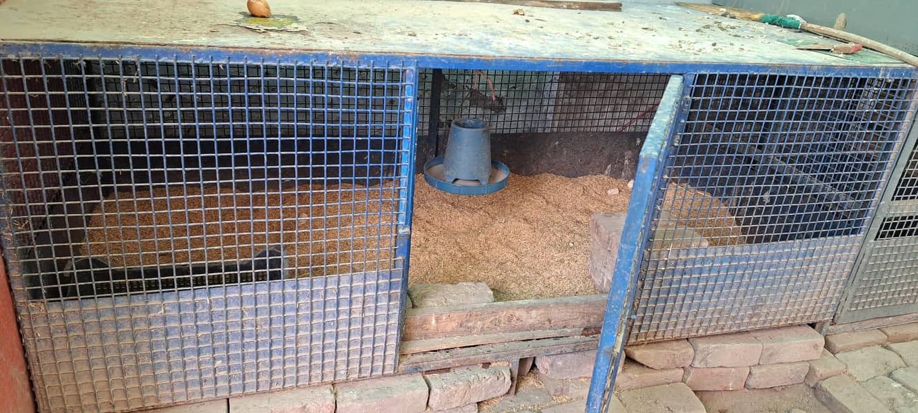 solid iran cages 0