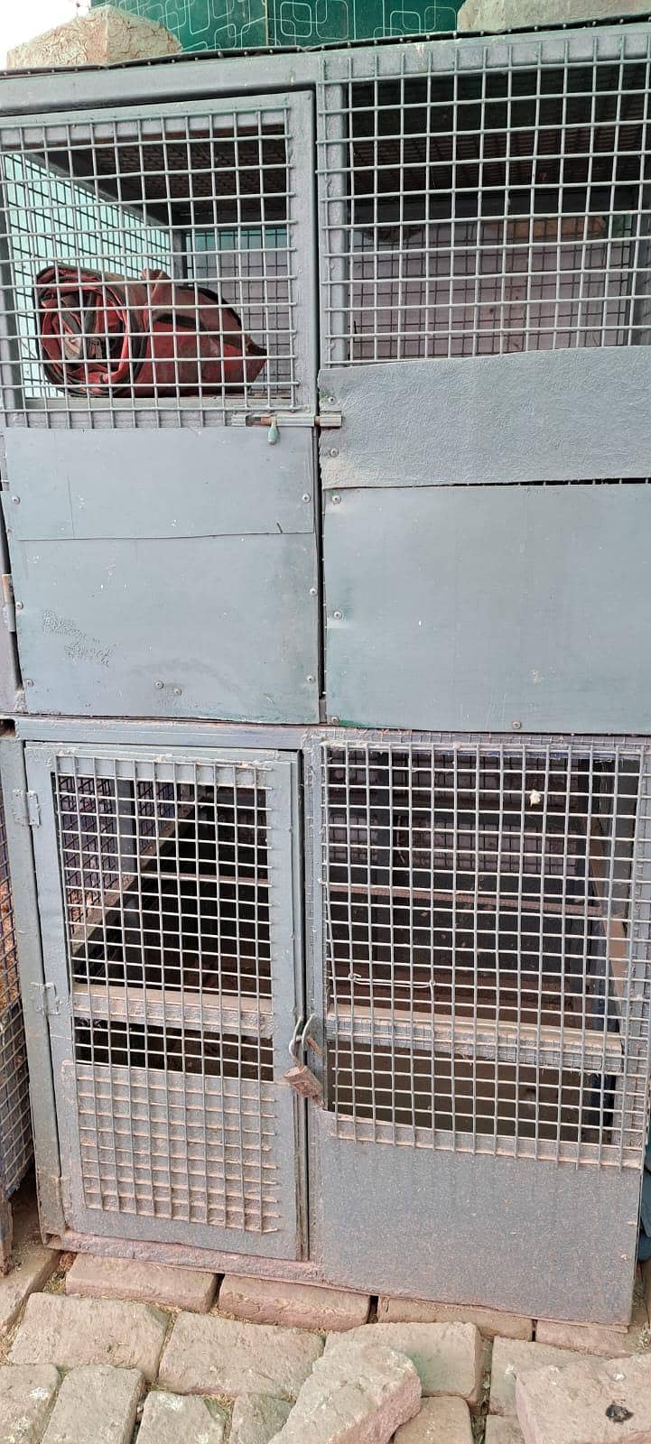 solid iran cages 1