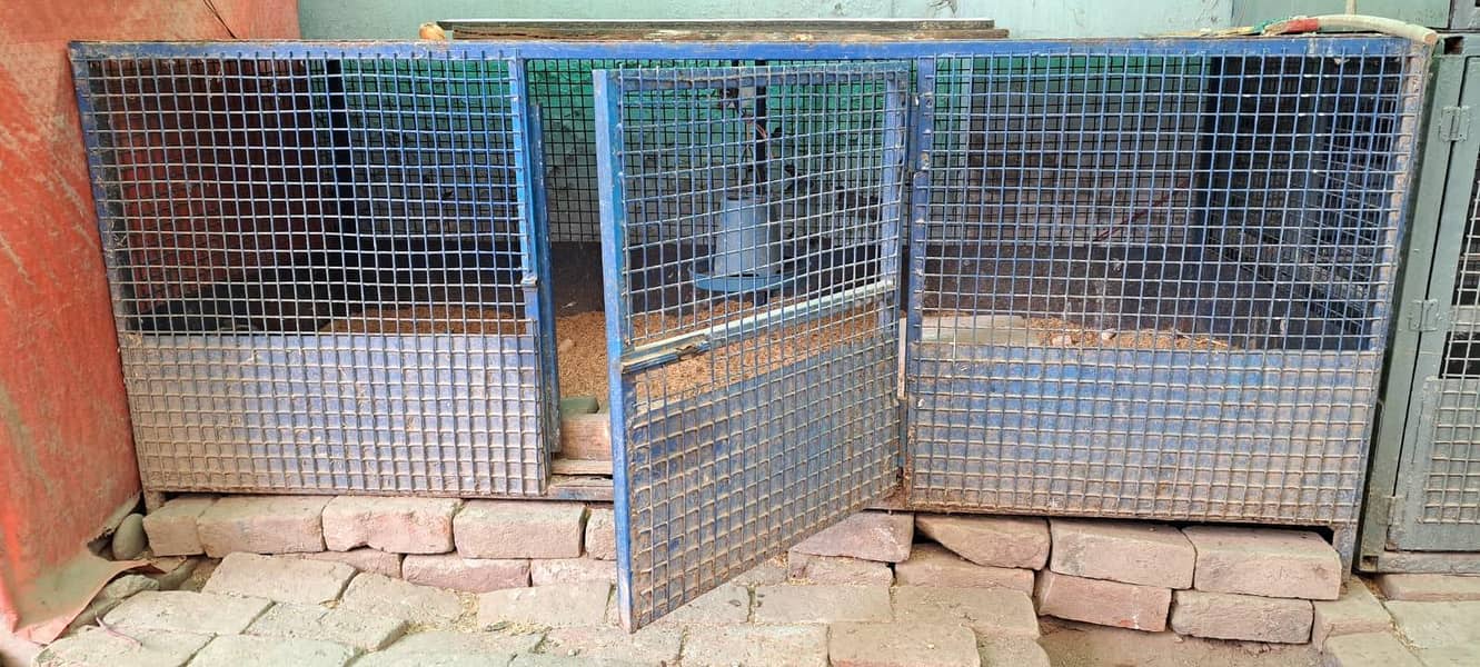 solid iran cages 2