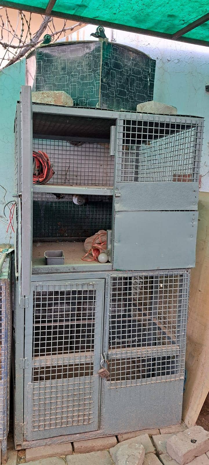 solid iran cages 3