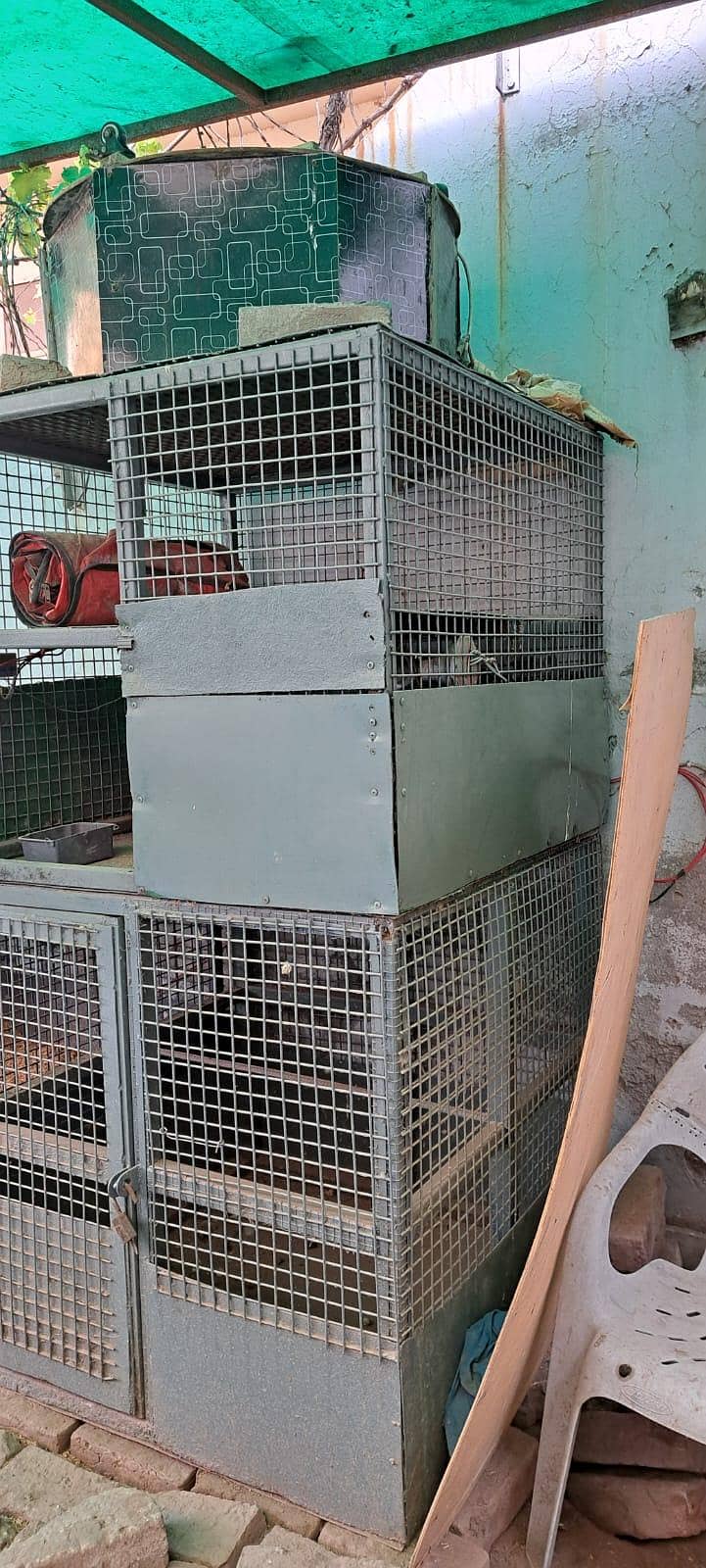 solid iran cages 4