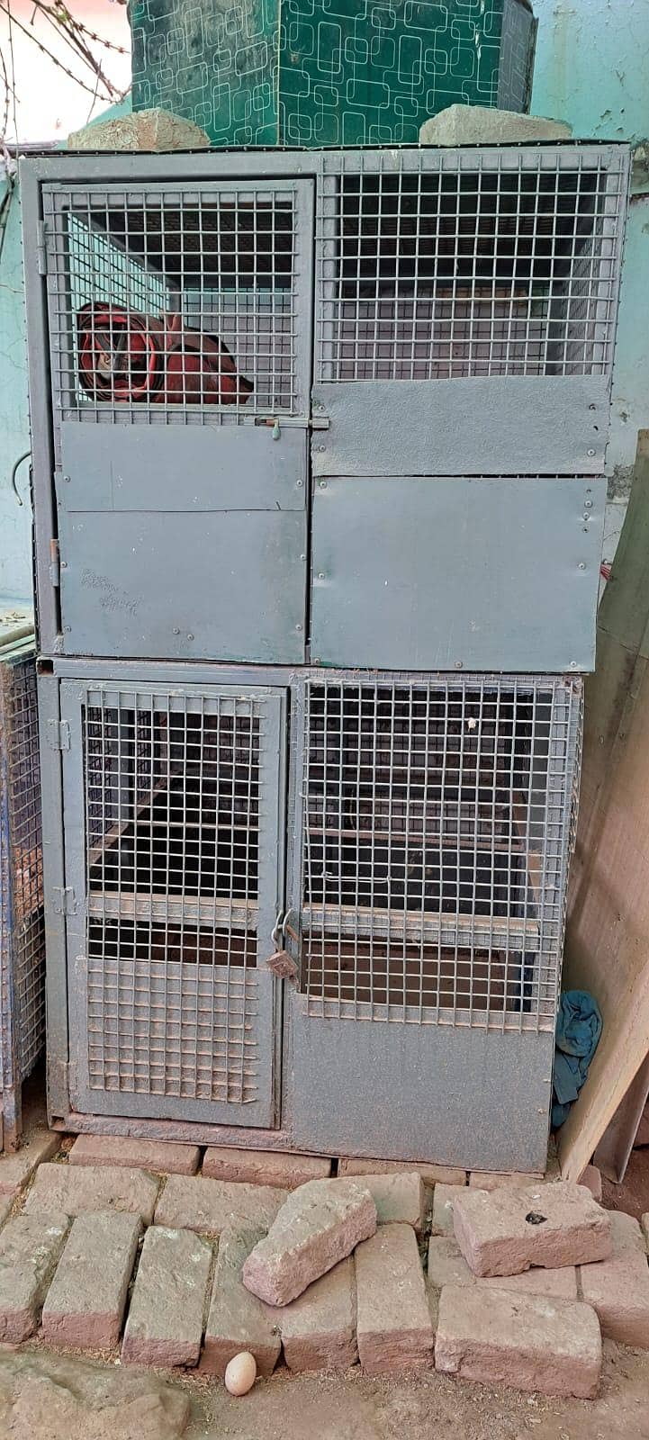 solid iran cages 5