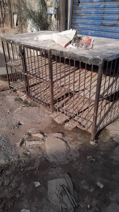 pinjra for sale urgent sale
