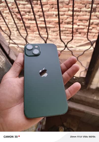 Apple iPhone 13 alpine green
