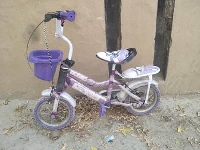 bicycle 20 days use