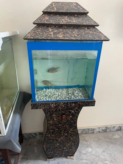 Fishe Aquarium