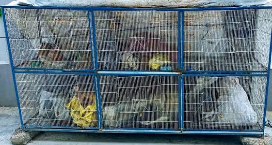 cages/ pinjra