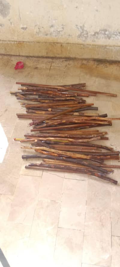 Sticks For Birds