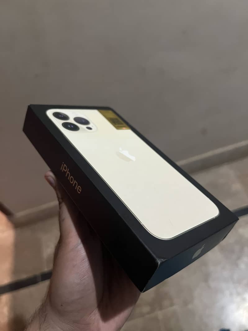 Apple iPhone 13 Pro Max 1