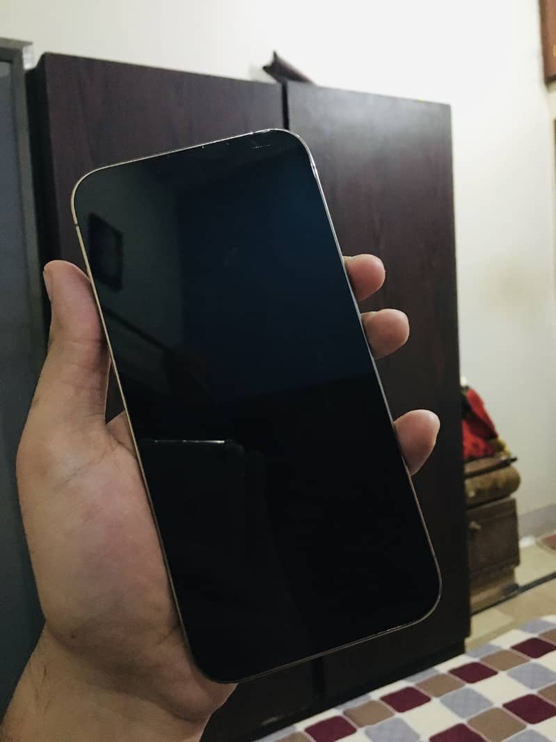 Apple iPhone 13 Pro Max 2
