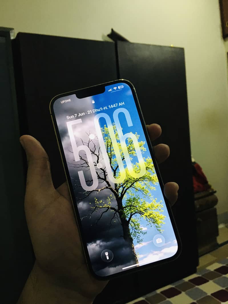 Apple iPhone 13 Pro Max 3