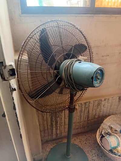 urgently salling fan
