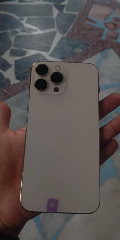 Apple iPhone 13 Pro Max