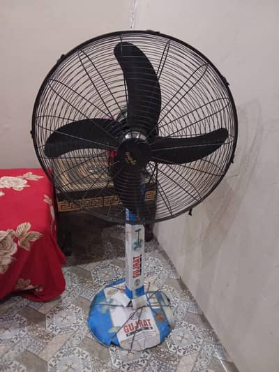Gujrat Fan