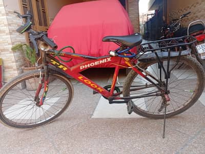Cycle 16 inch