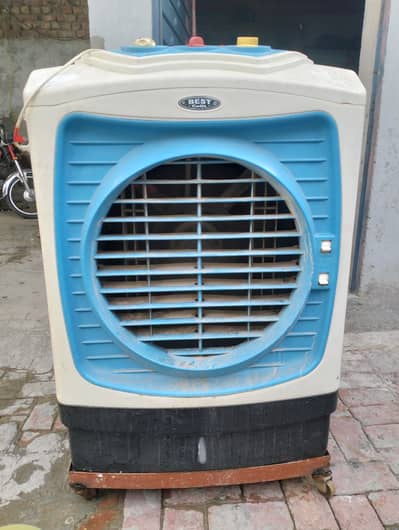 Best cool company large cooler