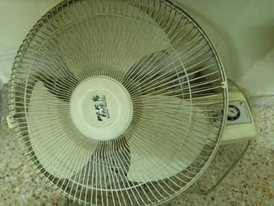 Pak fan (Condition like new)