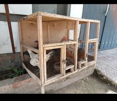 hens and durba