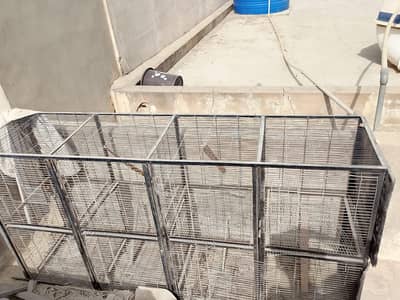 Heavy Duty Iron Bird Cage / 8 Portion Breeding Cage For Sale