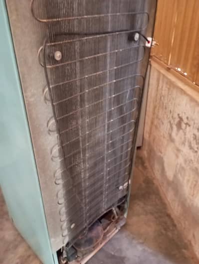 janvan frig ha good condition