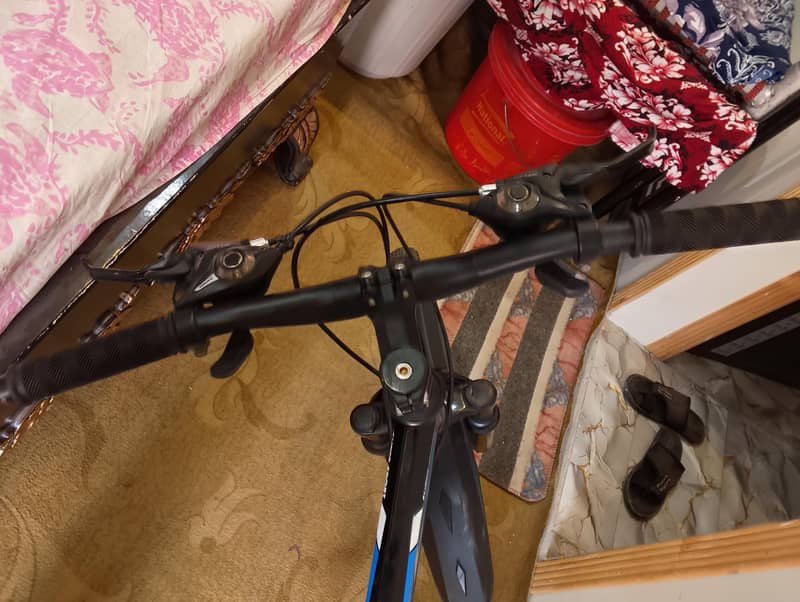 Bicycle 4