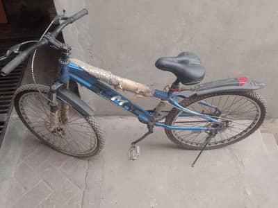 by cycle