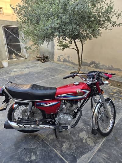 honde 125 brand new