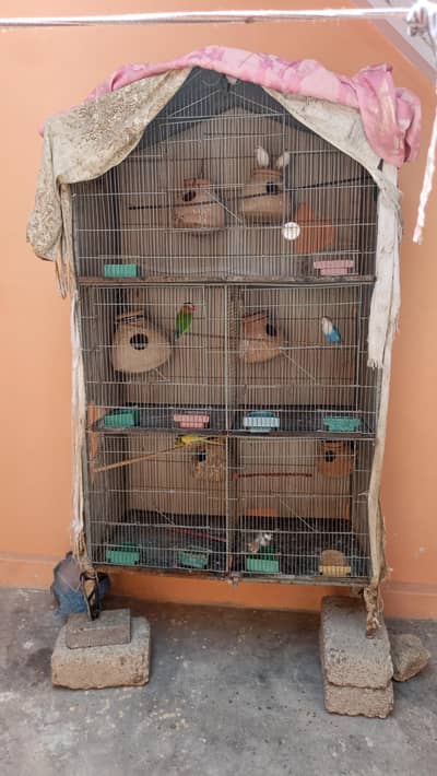 Cage for sale