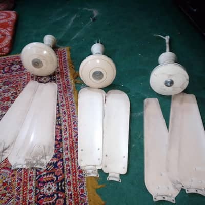 special offer 3 Fan in just 7000