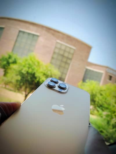 10 Days used, Original Apple iPhone 13 Pro Max (256GB)