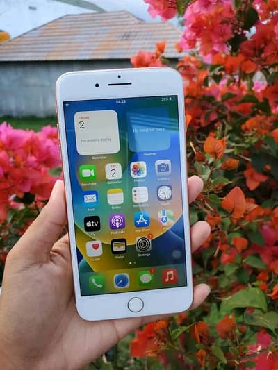 Iphone 8plus pta approved 256gb My Whatsapp number 0329-89-46-538