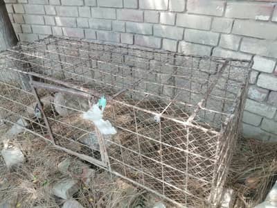 cages