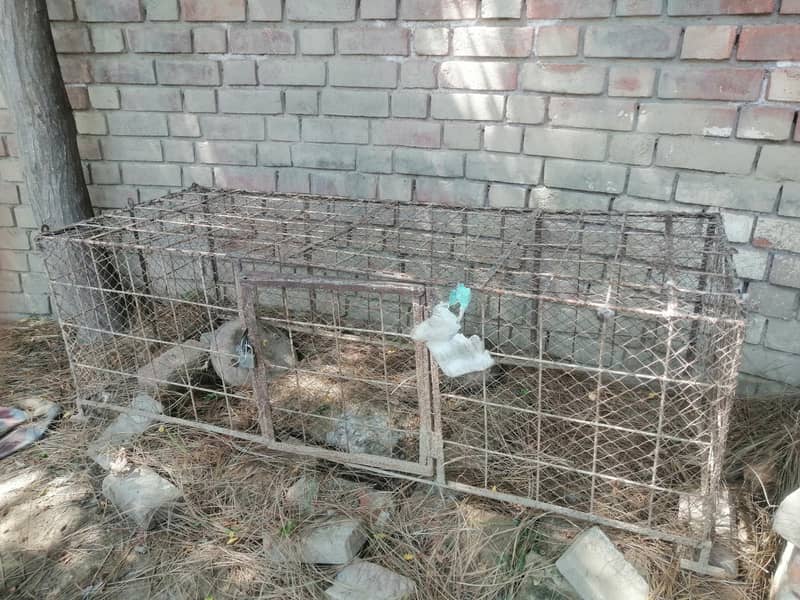 cages 3