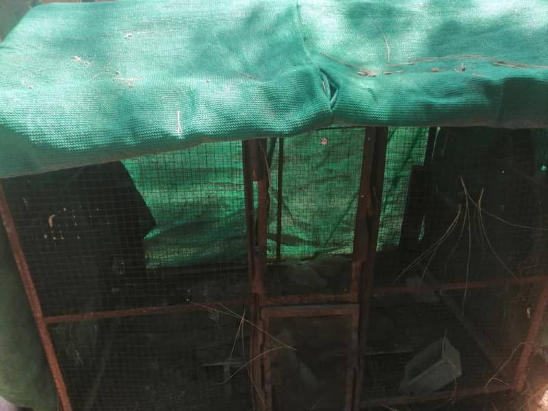 cages 11