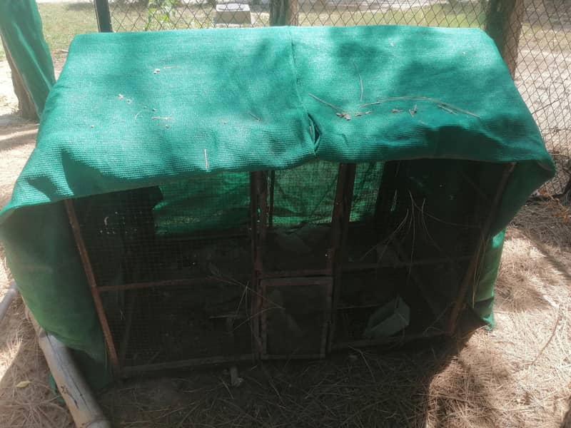 cages 12